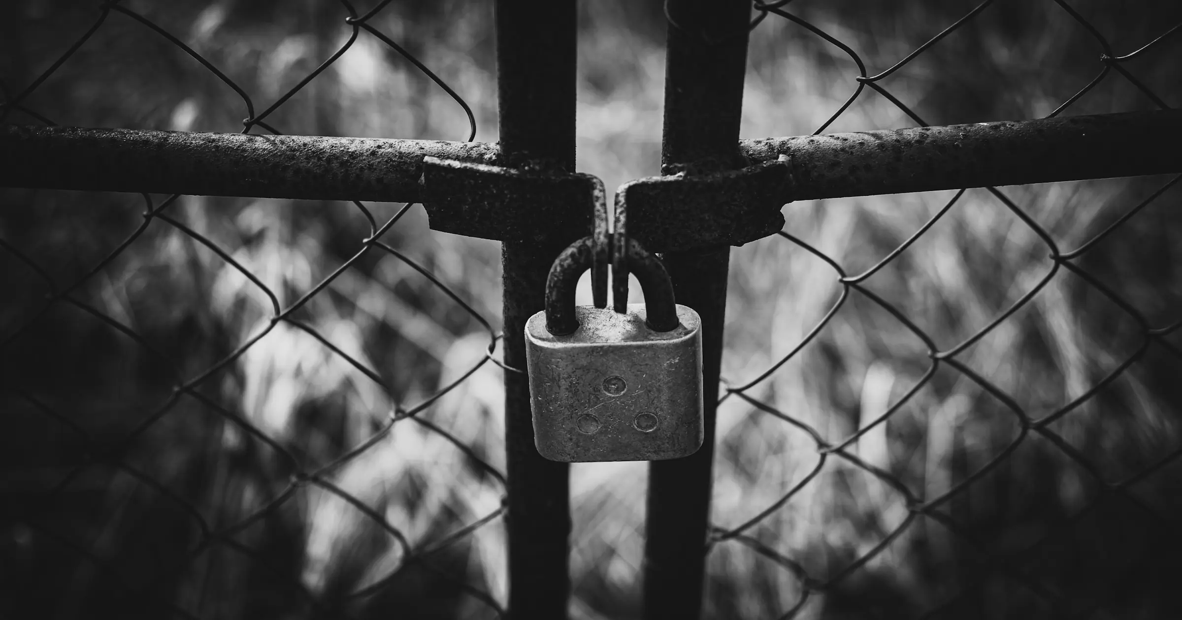 A padlock locking a black metal gate in a chain-link fence, in black and white