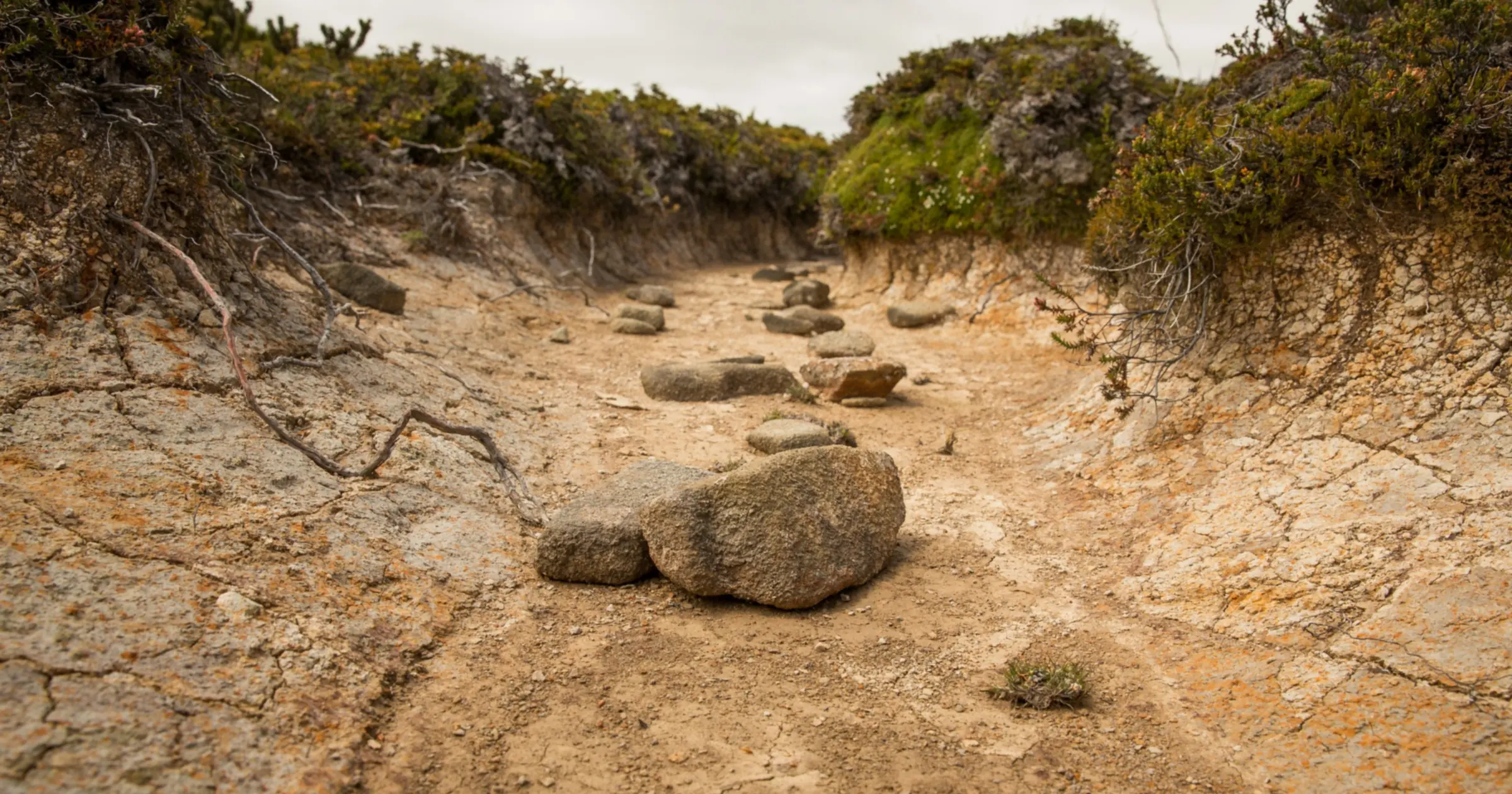 A dry creek bed with cracked earth and scattered stones