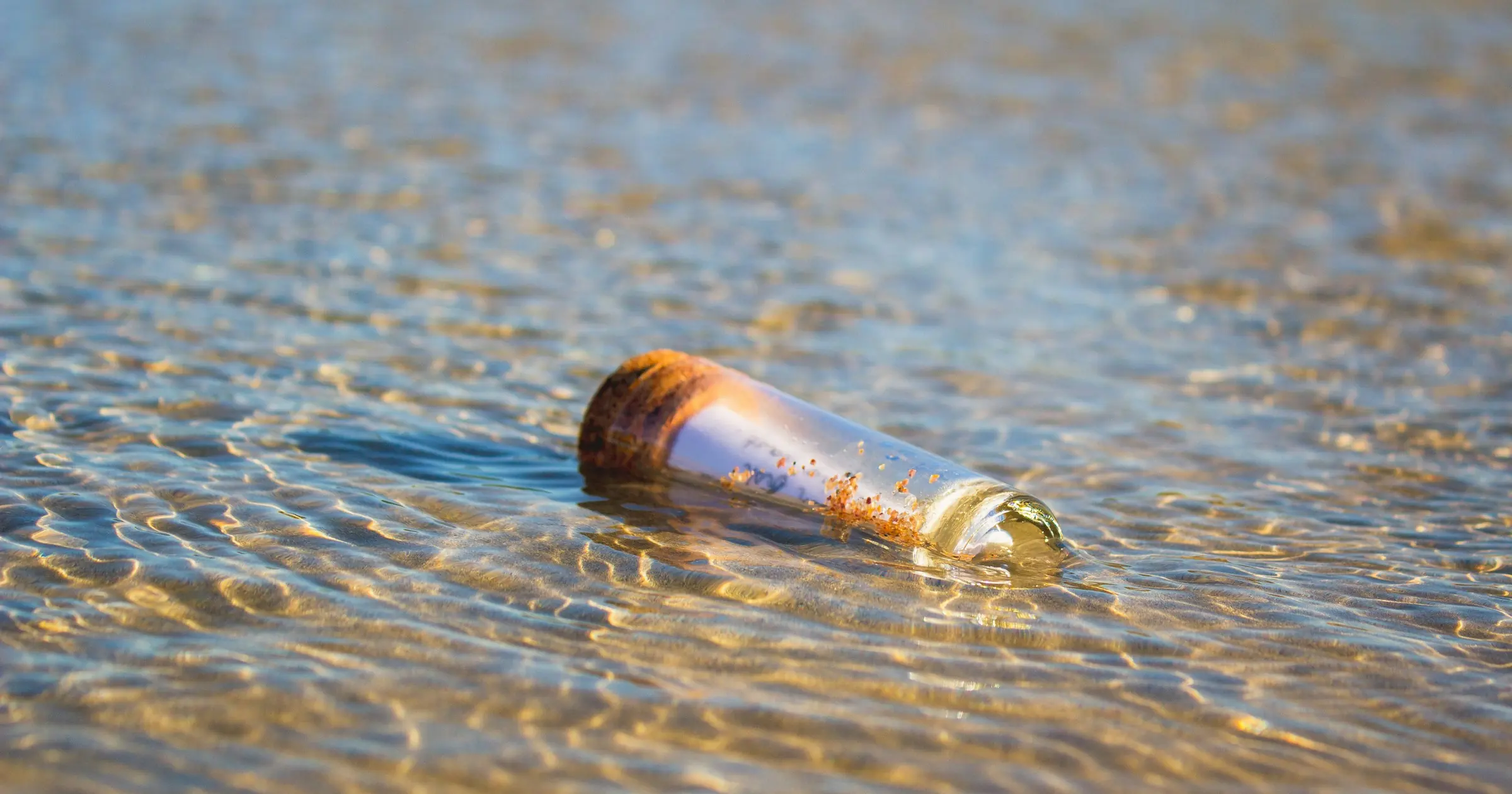 A corked glass bottle with a rolled note inside floating in shallow water