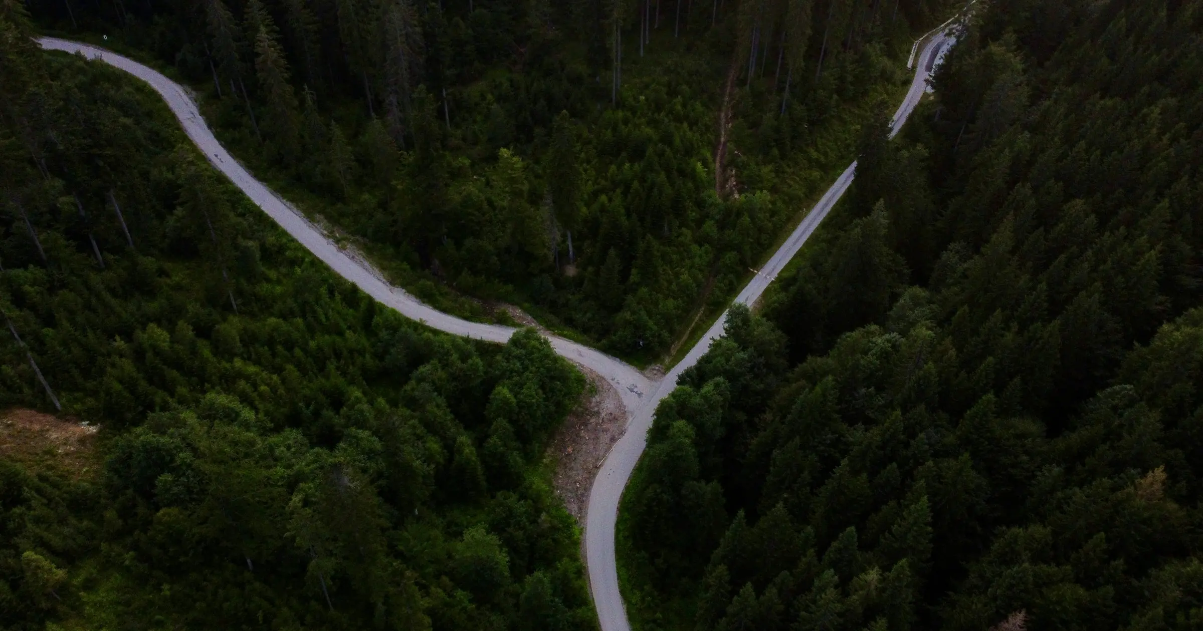 An aerial view of a road splitting into two paths through a dense pine forest