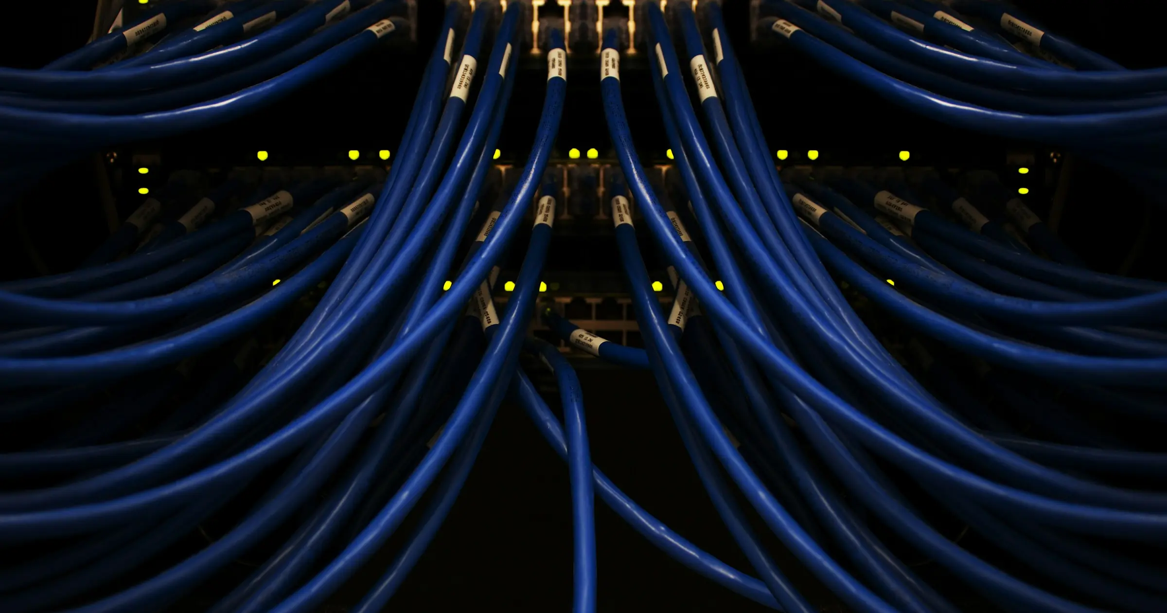 Dozens of blue network cables converging into a lit patch panel in a dark server rack